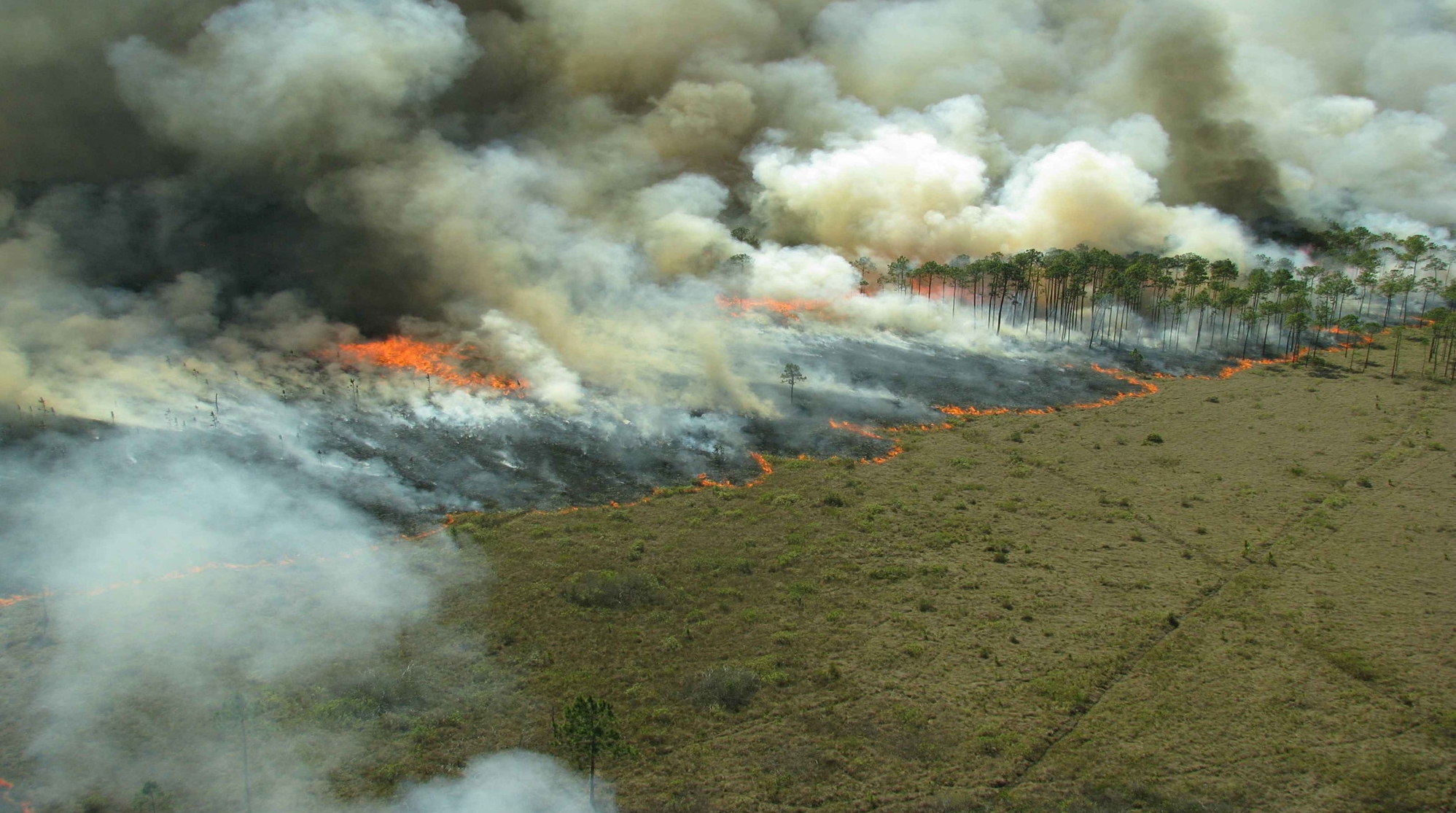 Active Fire